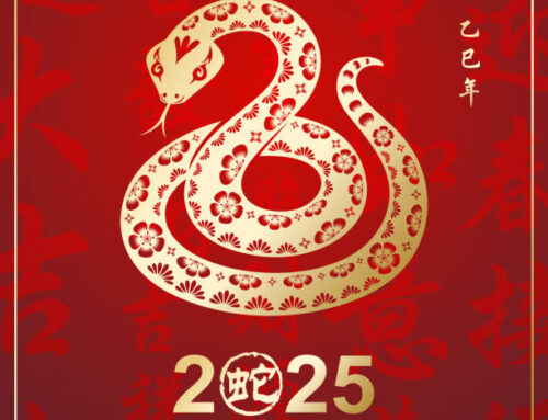 Lunar New Year 2025: Year of the Wood Snake